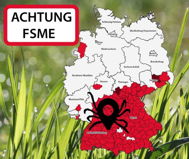 German Red Cross warns of high danger of ticks in Baden-Württemberg